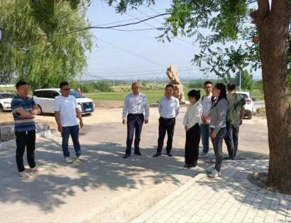 薛城区邹坞镇人大代表调研乡